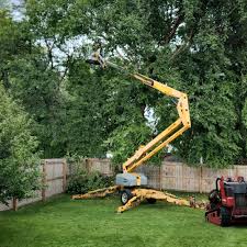 How Our Tree Care Process Works  in  Adamsville, TN